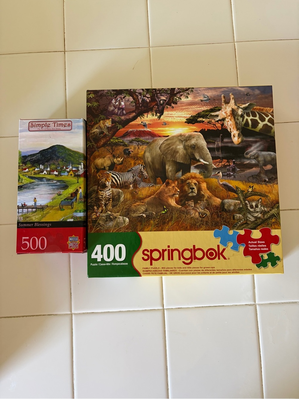 Puzzle Bundle – 2 Complete Puzzles (400pc Family + 500pc Art)